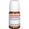 GRINDELIA ROBUSTA D 4 tablet, 80 adet