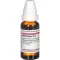 MANDRAGORA D 12 Seyreltme, 20 ml