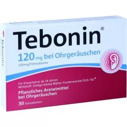 TEBONIN Kulak çınlaması için 120 mg film kaplı tablet, 30 adet