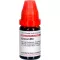 CROCUS LM VI Seyreltme, 10 ml