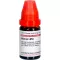 RUMEX LM VI Seyreltme, 10 ml