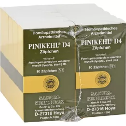 PINIKEHL Fitiller D 4, 10X10 adet