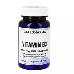 VITAMIN B3 100 mg GPH kapsül, 60 adet