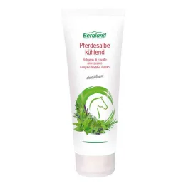 Atlar için soğutucu merhem (100 ml)