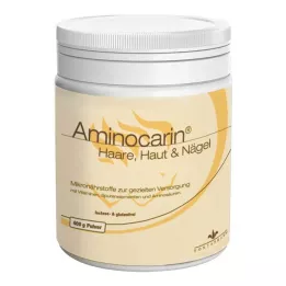 AMINOCARIN Toz kutusu, 400 gr