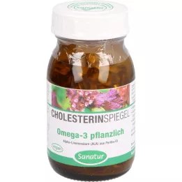 OMEGA-3 FETTSÄUREN %100 bitkisel kapsül, 120 adet
