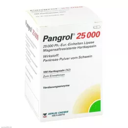 PANGROL Enterik kaplamalı pelet içeren 25.000 sert kapsül, 100 adet