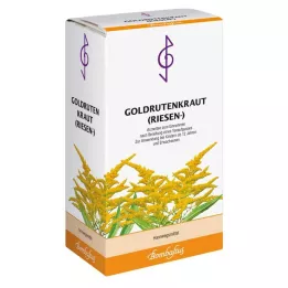 GOLDRUTENKRAUT Dev Çay, 100 gr