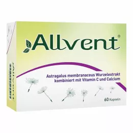 ALLVENT kapsül, 60 adet