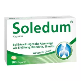 SOLEDUM 100 mg mideye dayanıklı kapsüller, 100 adet