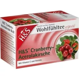 H&S Kızılcık Aserola Kiraz Filtre Torbası, 20X2,8 g