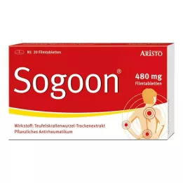 SOGOON 480 mg film kaplı tablet, 20 adet