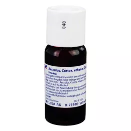 AESCULUS CORTEX eterik kaynatma ana tentürü D 1, 50 ml