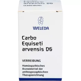 CARBO EQUISETI arvensis D 6 Öğütme, 20 g