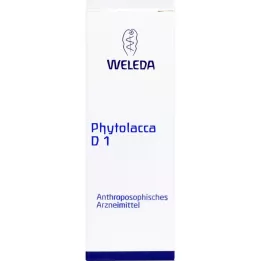 PHYTOLACCA D 1 seyreltme, 20 ml