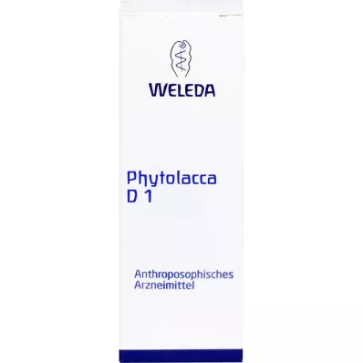 PHYTOLACCA D 1 seyreltme, 20 ml