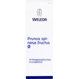 PRUNUS SPINOSA FRUCTUS Ana tentür, 50 ml