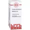 BERBERIS D 10 seyreltme, 20 ml