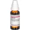 CACTUS D 8 Seyreltme, 20 ml