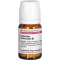 CEANOTHUS AMERICANUS D 2 tablet, 80 adet