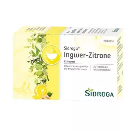 SIDROGA Wellness Zencefil-Limon Çay Filtre Poşetleri, 20X2,0 g