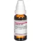 LEPTANDRA D 12 Seyreltme, 20 ml