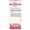 PHOSPHORUS AMORPHUS D 10 tablet, 80 adet