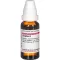 ZINGIBER Ana tentür, 20 ml