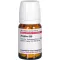 ZINGIBER D 30 tablet, 80 adet