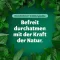 BRONCHOFORTON Merhem, 40 gr