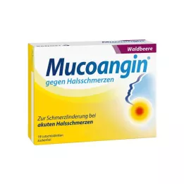MUCOANGIN Wild Berry 20 mg Pastil, 18 adet
