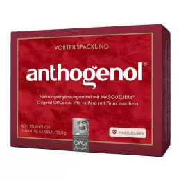 OPC ORIGINAL Masqueliers Anthogenol kapsülleri, 90 adet
