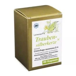 TRAUBENSILBERKERZE Kapsüller, 60 adet