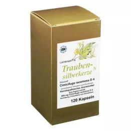 TRAUBENSILBERKERZE Kapsüller, 120 adet