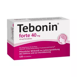 TEBONIN forte 40 mg film kaplı tablet, 120 adet
