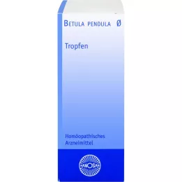 BETULA PENDULA Hanosan ana tentürü, 20 ml
