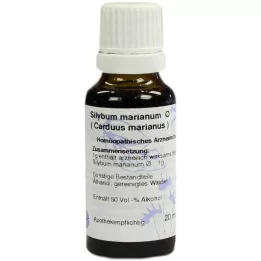 CARDUUS MARIANUS Hanosan ana tentürü, 20 ml