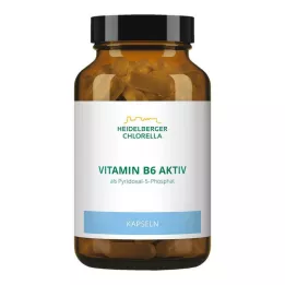 VITAMIN B6 KAPSÜLLER, 120 adet