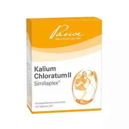 KALIUM CHLORATUM 2 Similiaplex tablet, 100 adet