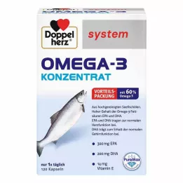 DOPPELHERZ Omega-3 konsantre sistem kapsülleri, 120 adet