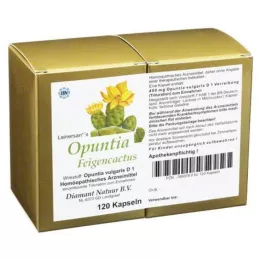 OPUNTIA FEIGENCACTUS Kapsüller, 120 adet