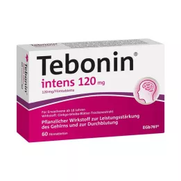 TEBONIN intens 120 mg film kaplı tabletler, 60 adet