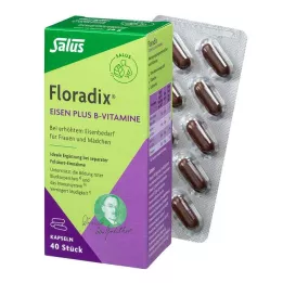 FLORADIX Demir artı B vitaminleri kapsülleri, 40 adet