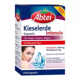 ABTEI Silika kapsüller, 210 adet