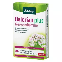 KNEIPP Valerian plus sinir vitaminleri drajeleri, 40 adet