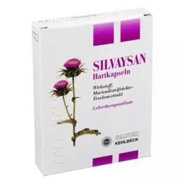 SILVAYSAN Kapsüller, 20 adet