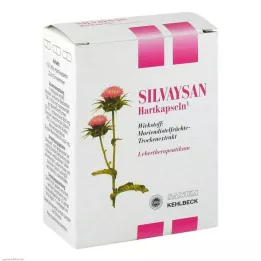 SILVAYSAN Kapsüller, 100 adet