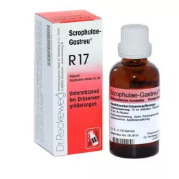 SCROPHULAE-Gastreu R17 karışımı, 22 ml