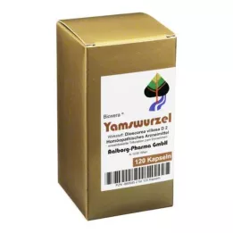 YAMSWURZEL KAPSÜL, 120 adet
