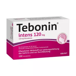 TEBONIN intens 120 mg film kaplı tabletler, 120 adet